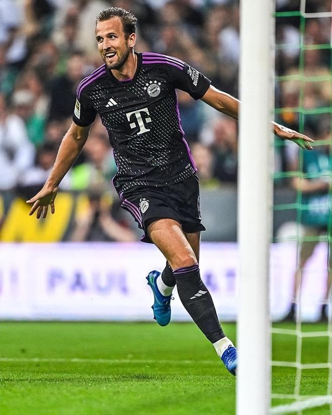 对手大概率 对手大概率